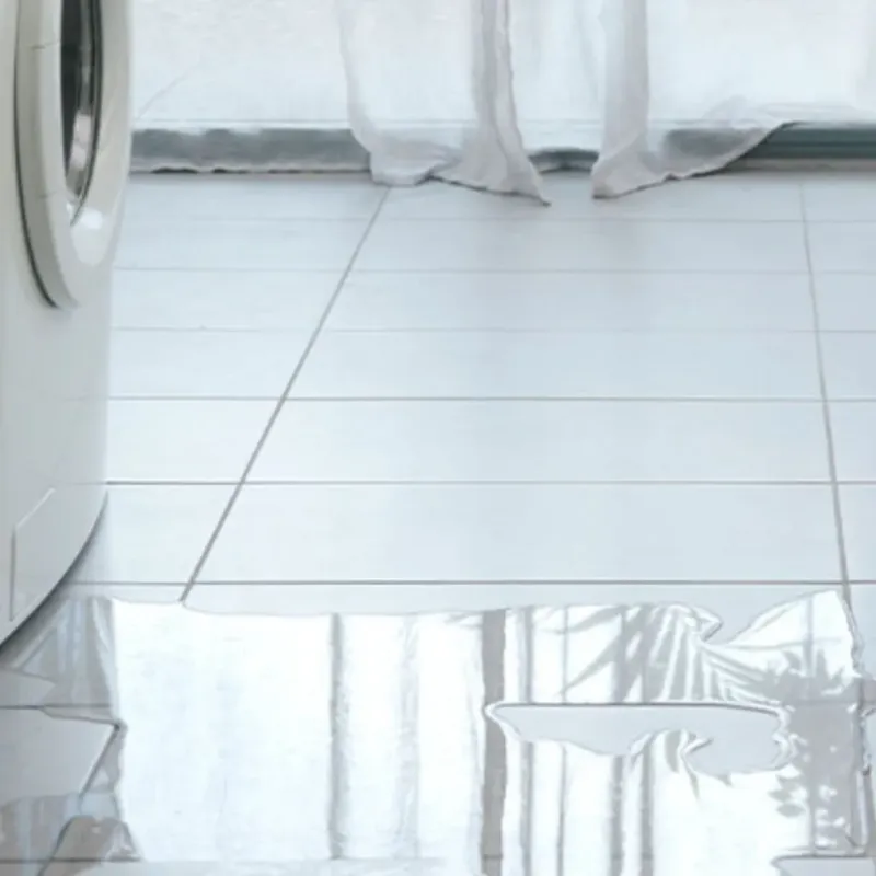 Appliance Leak Cleanup in Rapides Parish, LA