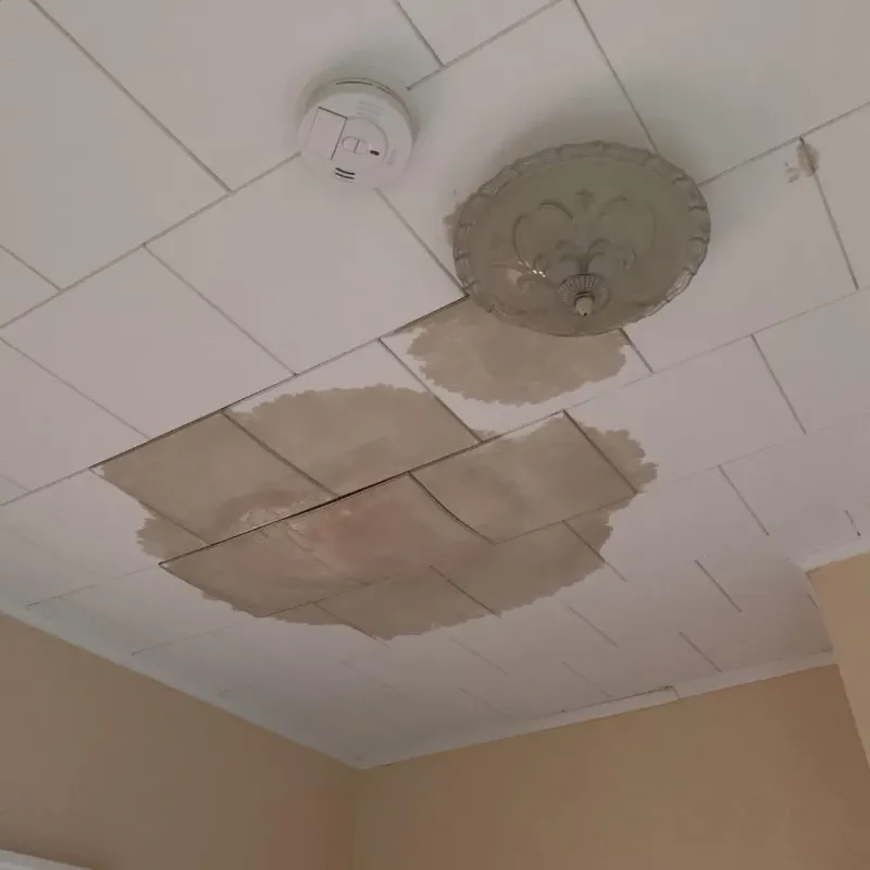 Ceiling Water Damage Repair in Rapides Parish, LA